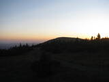20 : 20