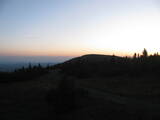 20 : 40