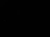 04 : 04