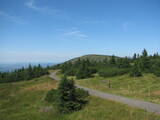 11 : 00