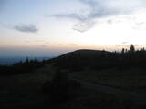 20 : 40