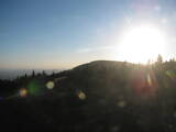 19 : 36