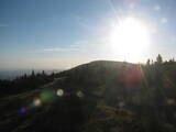 19 : 16