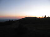 20 : 36