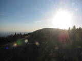 19 : 24