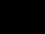 03 : 44