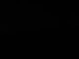 Záznam
