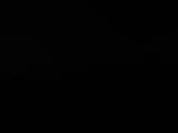 Záznam