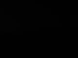 Záznam