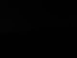 Záznam