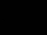 Záznam
