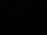05 : 36
