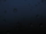 19 : 40