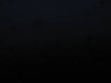 19 : 44