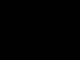 20 : 40