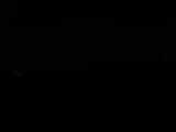 Záznam