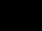 Záznam