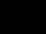 Záznam