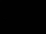 Záznam