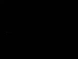 Záznam