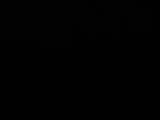 Záznam