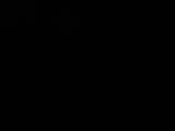 Záznam