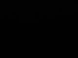 Záznam