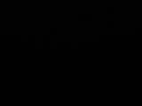 Záznam