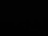 Záznam