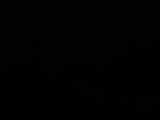 Záznam