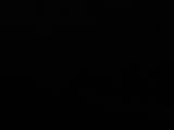 Záznam