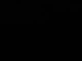 Záznam