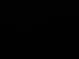 Záznam