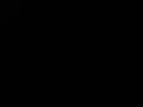 Záznam