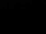 Záznam