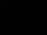 Záznam