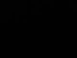 Záznam