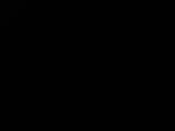 Záznam