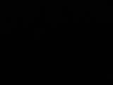 Záznam