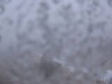 Záznam